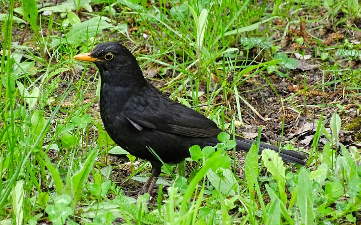 ׸���� �����. ����� �������� �������� �� PhotoGeek.ru #����� #�������� ���