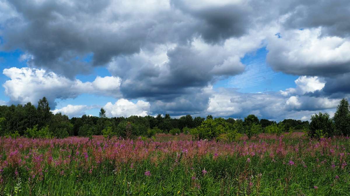 ��� ������. ����� �������� �������� �� PhotoGeek.ru #������ ��� �������