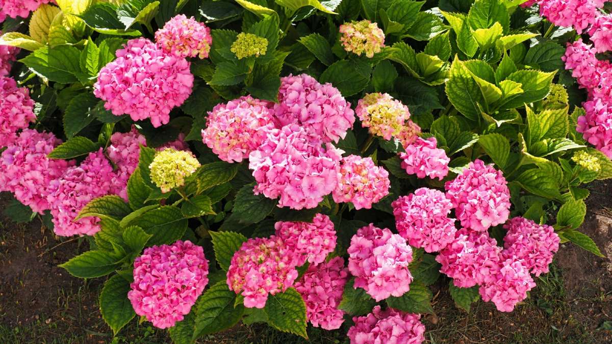 ���� ��������� �� ��������� ������. ����� �������� �������� �� PhotoGeek.ru #����� #�����