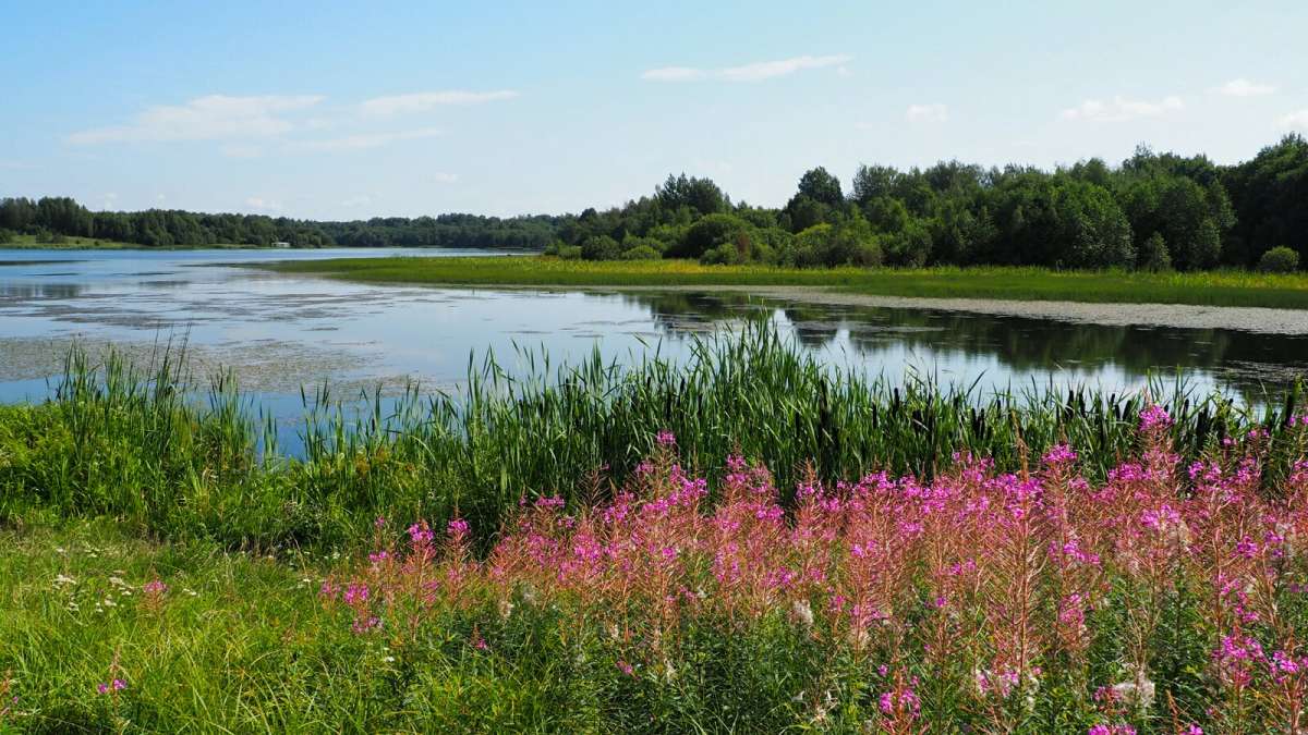 1-� ������� �� ����������. ����� �������� �������� �� PhotoGeek.ru #������ ��� �������