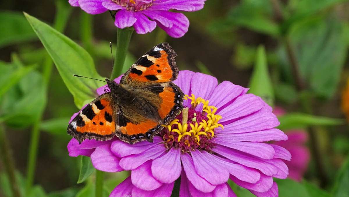 �� ����� �������. ����� �������� �������� �� PhotoGeek.ru #����� #�������� ���