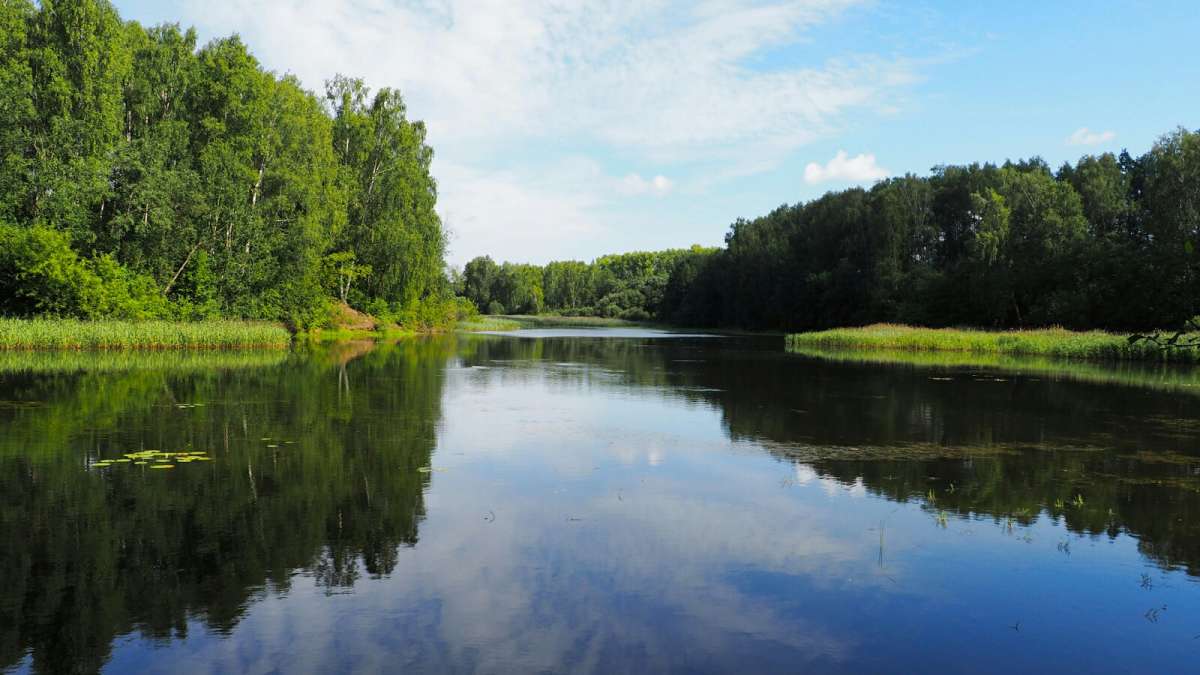 ���������. ����� �������� �������� �� PhotoGeek.ru #������ ��� �������