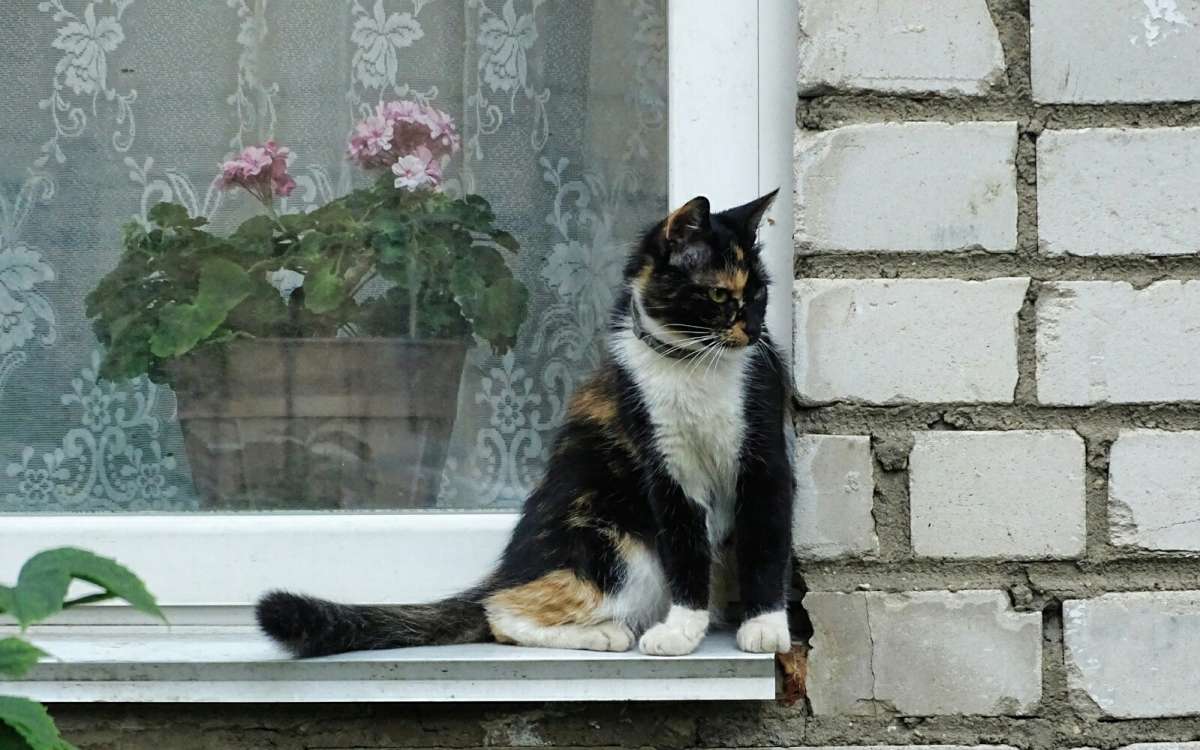 "�����������". ����� �������� �������� �� PhotoGeek.ru #����� #�������� ���