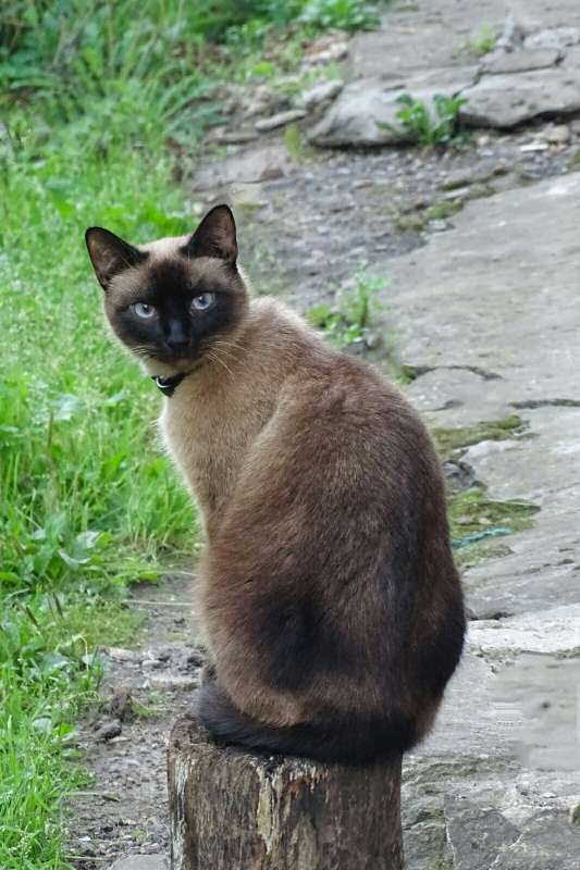 ������������ ���������. ����� �������� �������� �� PhotoGeek.ru #����� #�������� ���