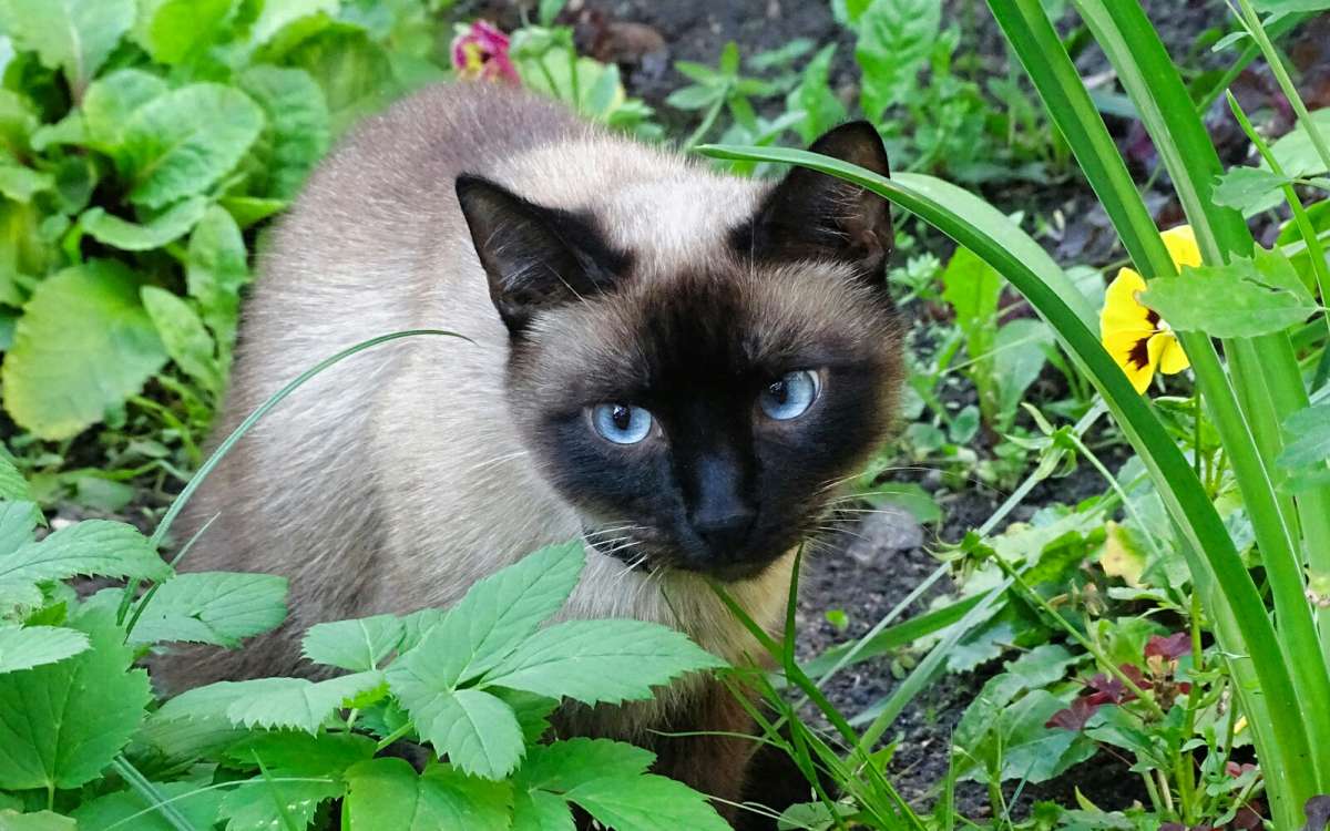 �� �����! ����� �������� �������� �� PhotoGeek.ru #�������� ���