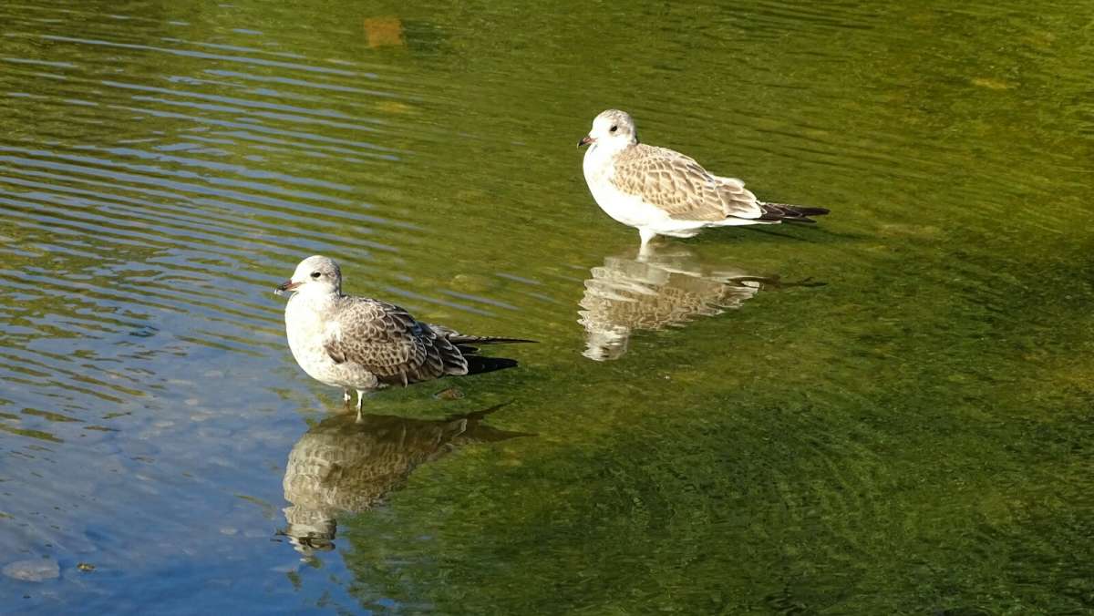 ������ �����. ����� �������� �������� �� PhotoGeek.ru #����� #�������� ���