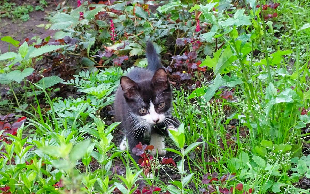 ����������! ����� �������� �������� �� PhotoGeek.ru #����� #�������� ���