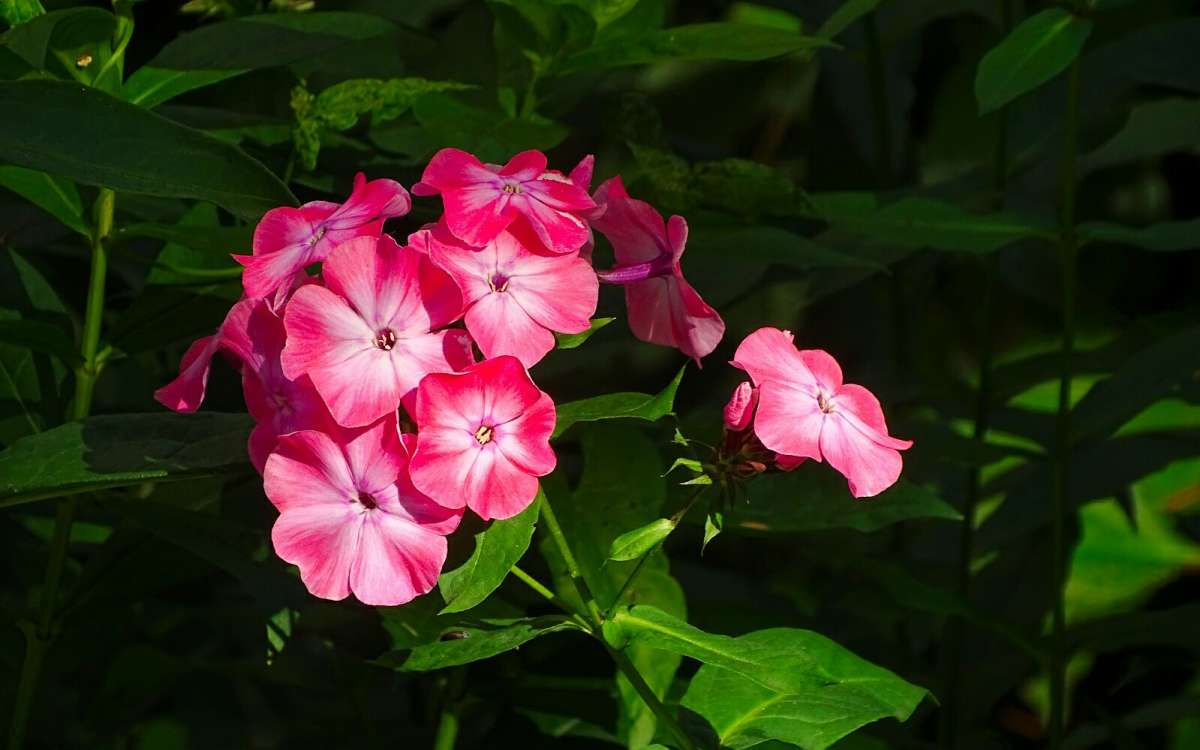 ������. ����� �������� �������� �� PhotoGeek.ru #����� #�����