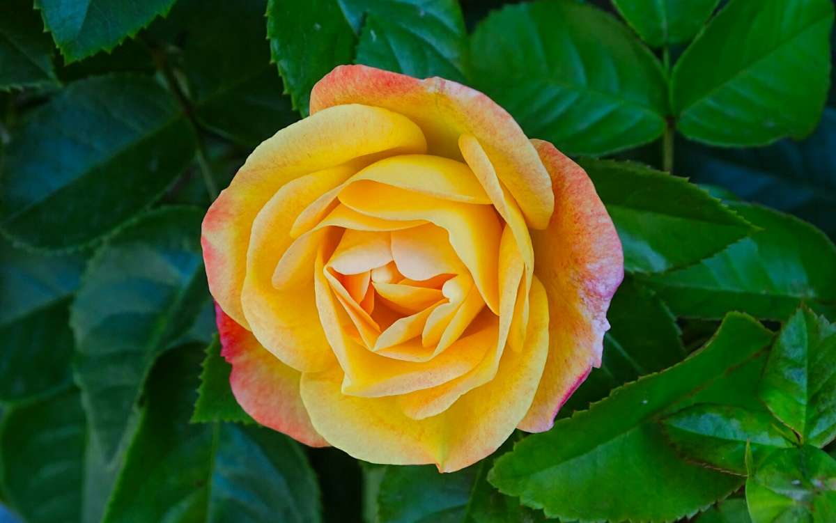 � �����. ����� �������� �������� �� PhotoGeek.ru #����� #�����