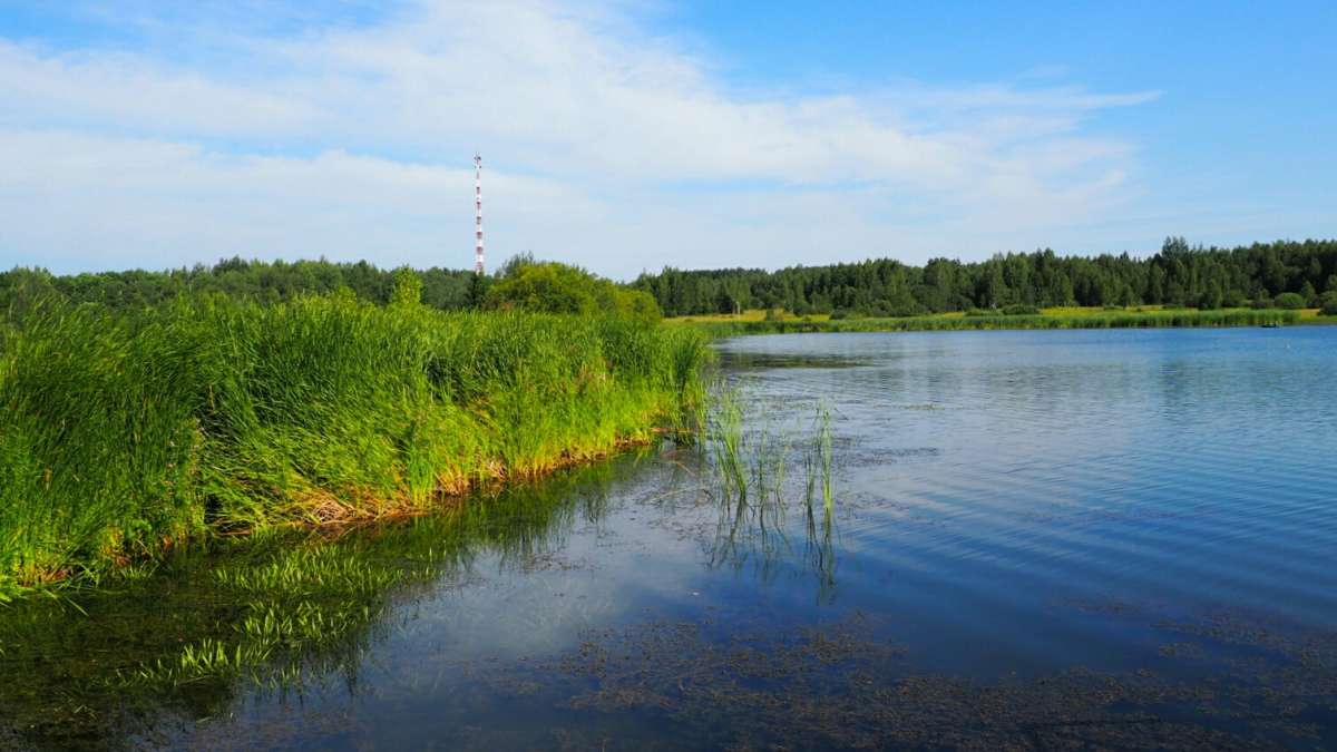 ��� ����������. ����� �������� �������� �� PhotoGeek.ru #������ ��� �������