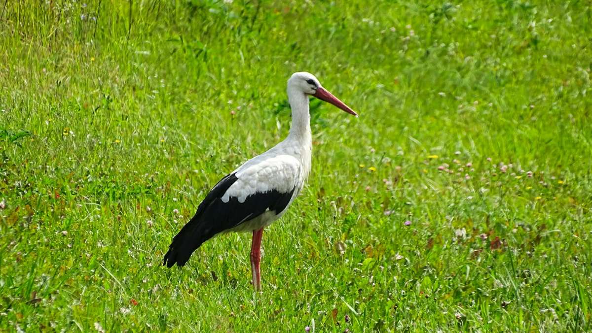 ����� � ������ ���� ��������! ����� �������� �������� �� PhotoGeek.ru #�������� ���