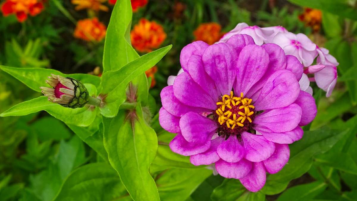 ����� �������. ����� �������� �������� �� PhotoGeek.ru #����� #�����
