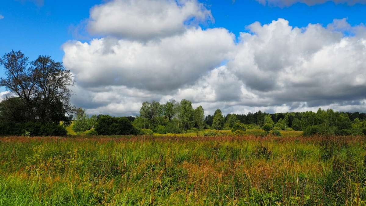 ������. ����� �������� �������� �� PhotoGeek.ru #������ ��� �������