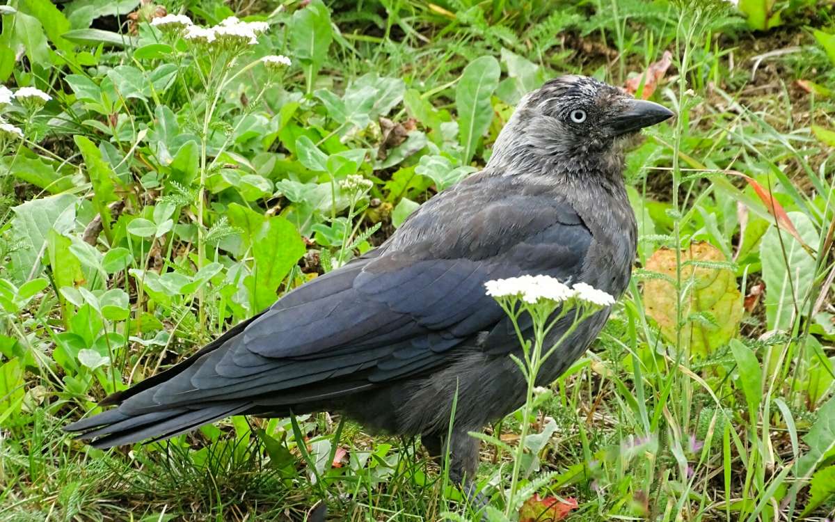 ��������� ������. ����� �������� �������� �� PhotoGeek.ru #����� #�������� ���