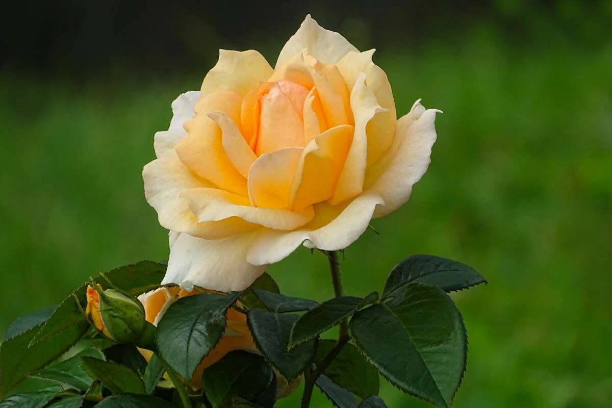 ��������� �����. ����� �������� �������� �� PhotoGeek.ru #����� #�����