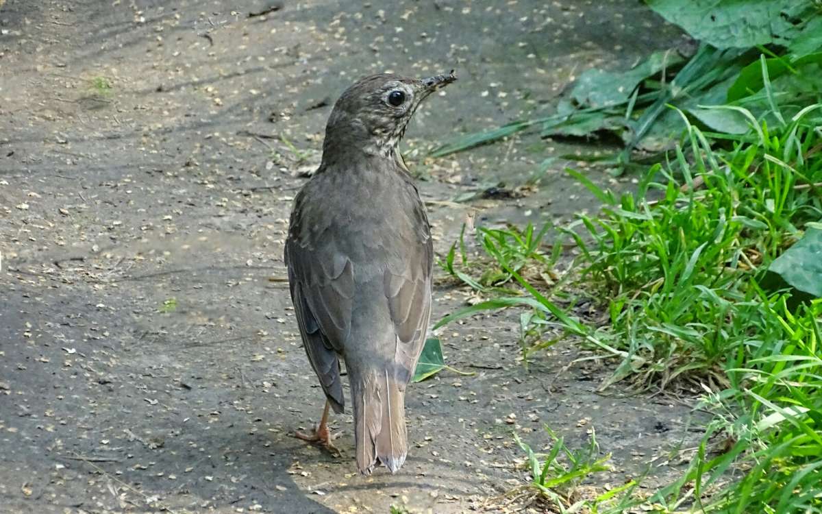 �� ��������� ����������...! ����� �������� �������� �� PhotoGeek.ru #����� #�������� ���