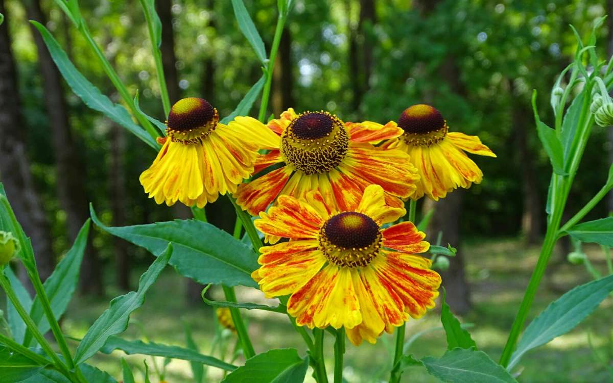 ����� �������. ����� �������� �������� �� PhotoGeek.ru #����� #�����