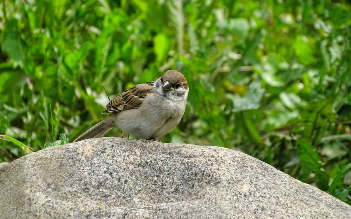 ������ �������. ����� �������� �������� �� PhotoGeek.ru #����� #�������� ���