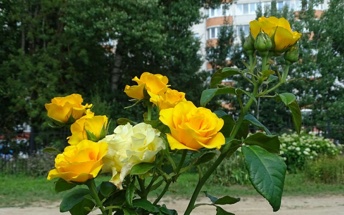 ��������� ����. ����� �������� �������� �� PhotoGeek.ru #����� #�����