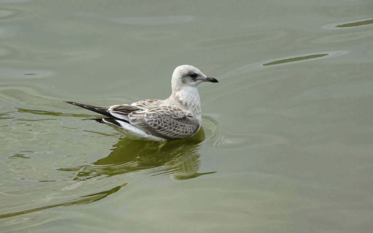 ������� ������ �����. ����� �������� �������� �� PhotoGeek.ru #����� #�������� ���