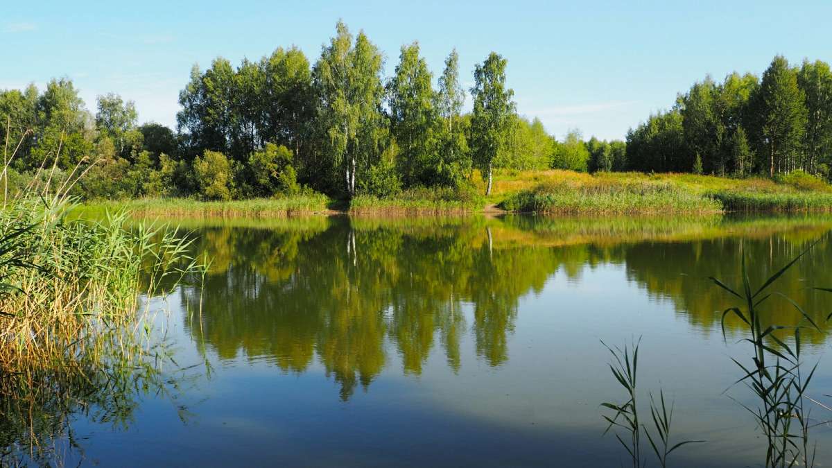 ������� ����������. ����� �������� �������� �� PhotoGeek.ru #������ ��� �������