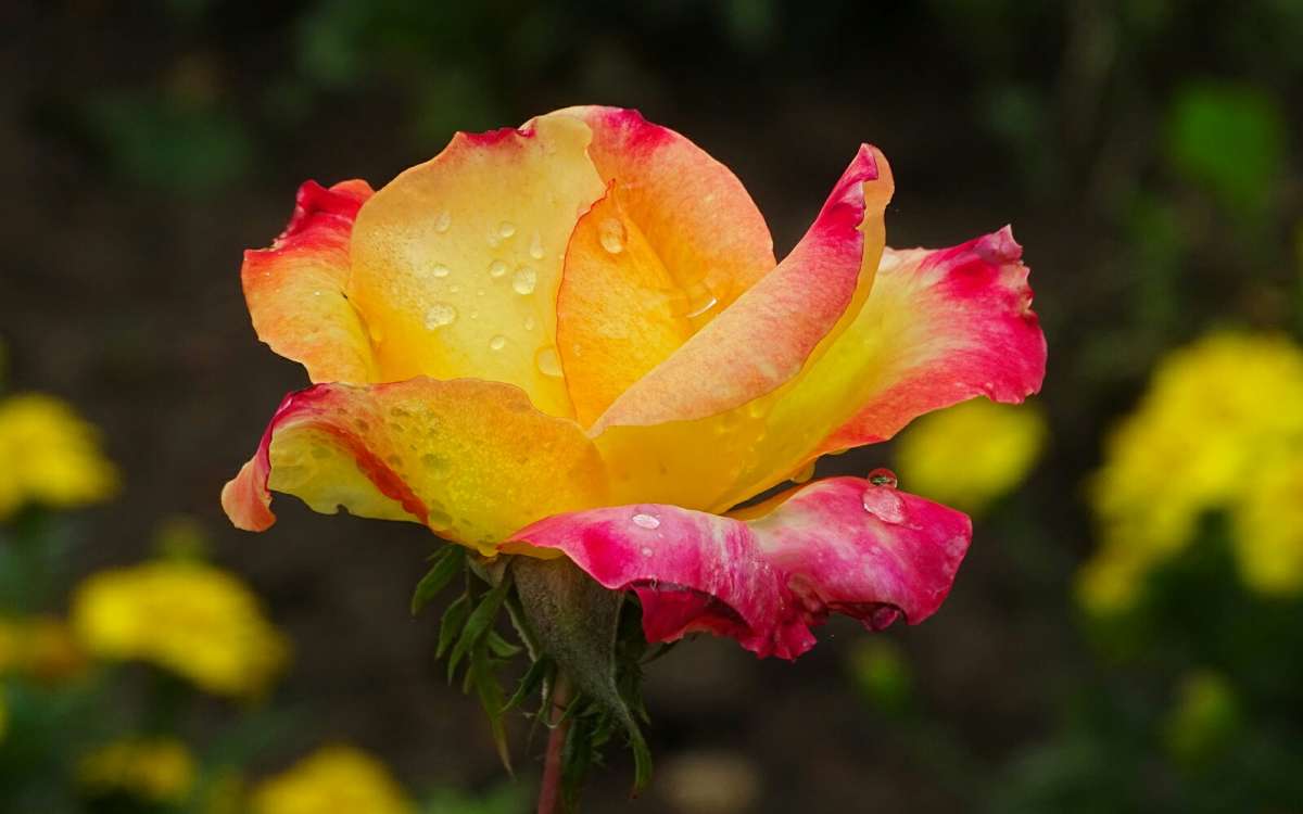 ���� ��� �����. ����� �������� �������� �� PhotoGeek.ru #����� #�����