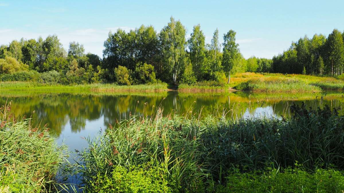 ��������� ����� ����. ����� �������� �������� �� PhotoGeek.ru #������ ��� �������