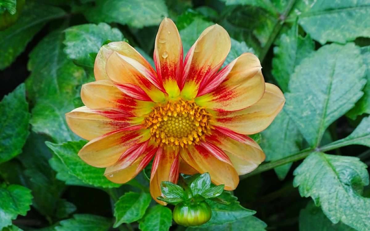 ��������� ����� ���������. ����� �������� �������� �� PhotoGeek.ru #����� #�����