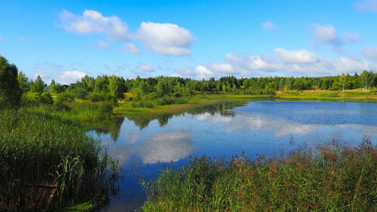������. ����� �������� �������� �� PhotoGeek.ru #������ ��� �������