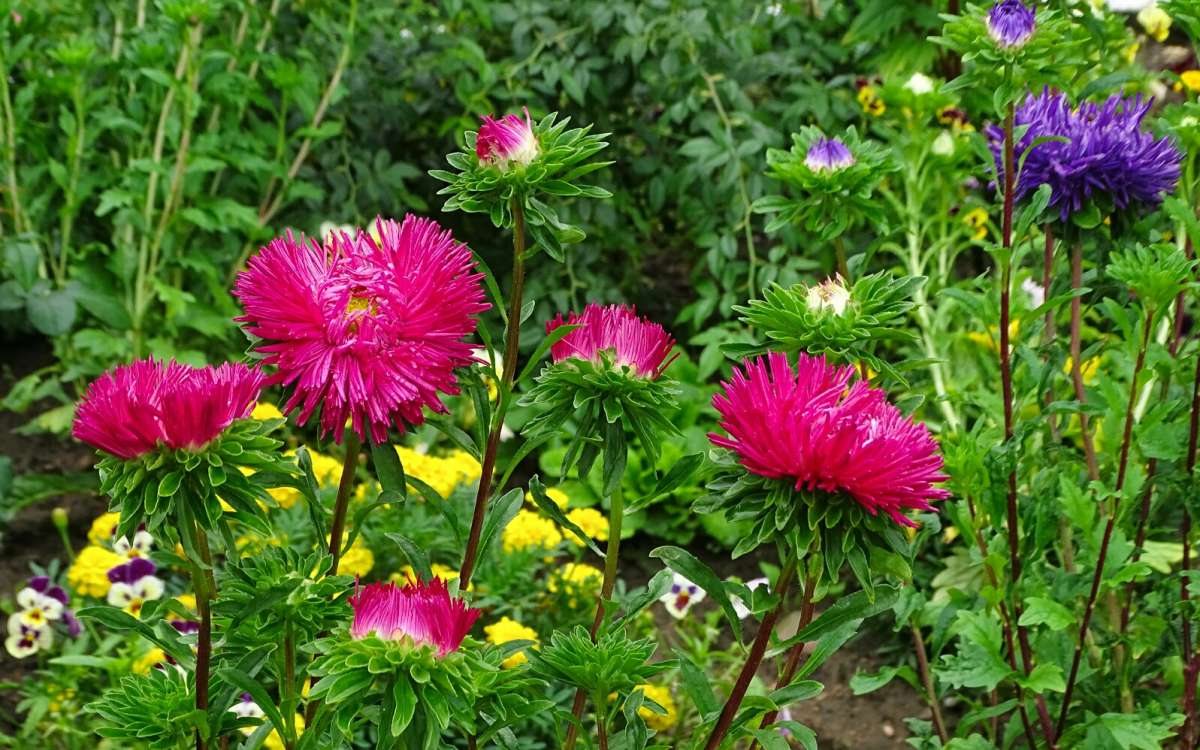 ����� �������. ����� �������� �������� �� PhotoGeek.ru #����� #�����