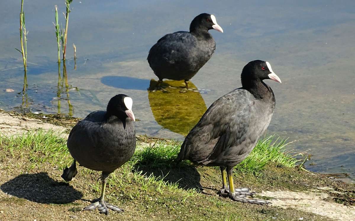 "���������� �� �����" ����� �������� �������� �� PhotoGeek.ru #�������� ���