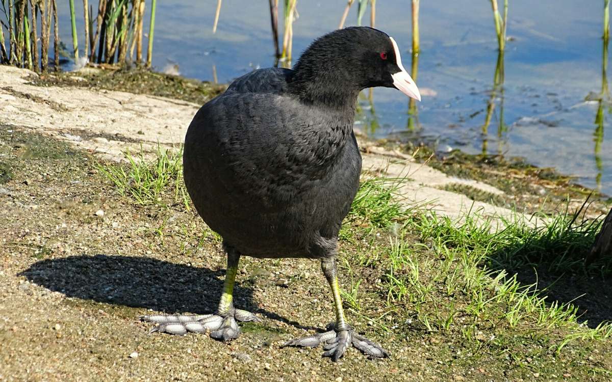 �������������� ���� ������. ����� �������� �������� �� PhotoGeek.ru #�������� ���