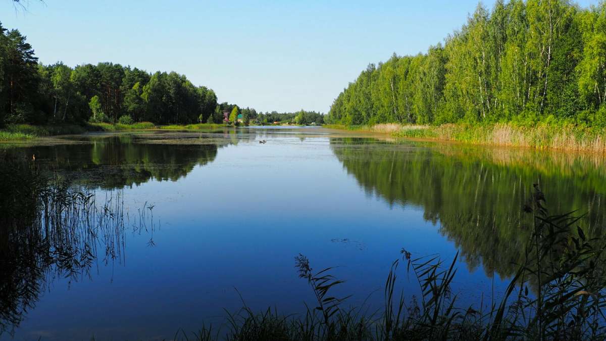 ������ ����� �� ��������� �����. ����� �������� �������� �� PhotoGeek.ru #������ ��� �������