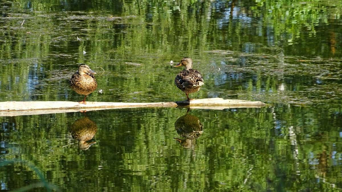 ������� �� ������. ����� �������� �������� �� PhotoGeek.ru #�������� ���