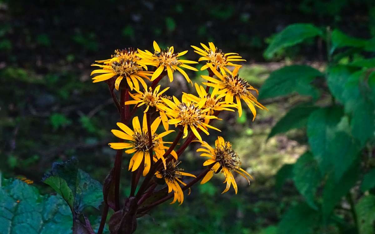 �����, ������� �� �����. ����� �������� �������� �� PhotoGeek.ru #�����