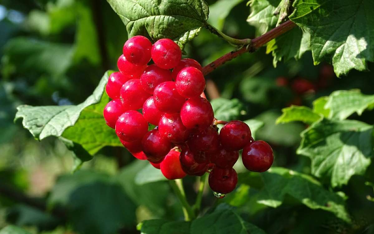 ������ ������. ����� �������� �������� �� PhotoGeek.ru #�����