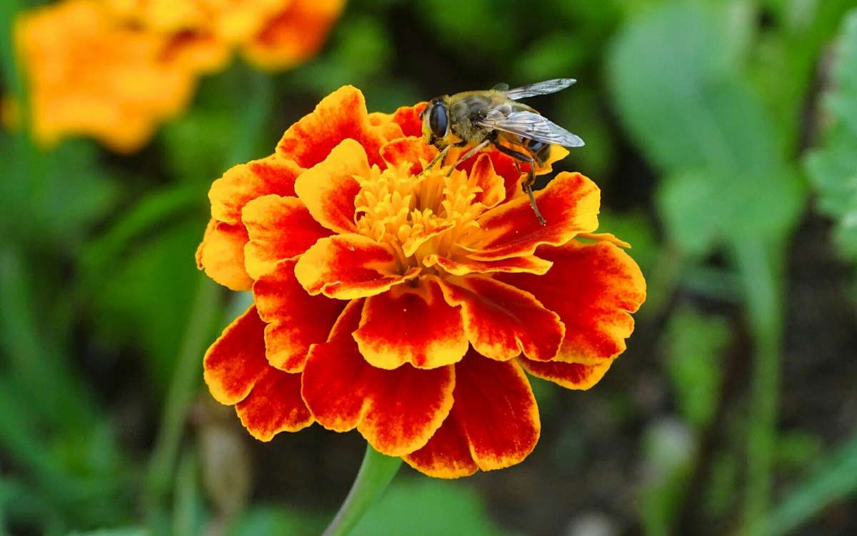 ��������� �����. ����� �������� �������� �� PhotoGeek.ru #����� #�����