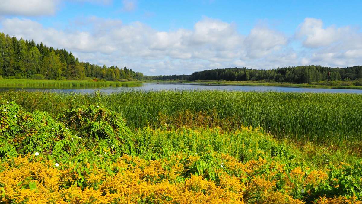 ������� � ����� ����. ����� �������� �������� �� PhotoGeek.ru #������ ��� �������