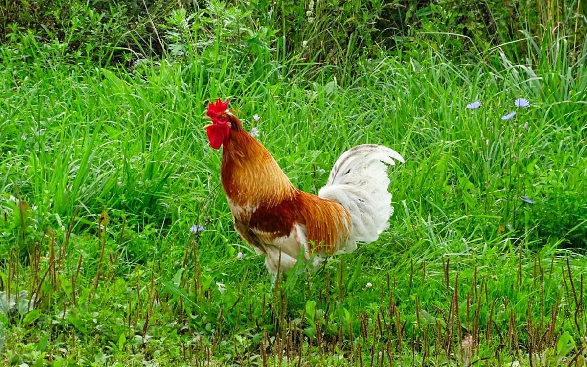 ����, �����, �������� - ������ �������� ������. ����� �������� �������� �� PhotoGeek.ru #�������� ���