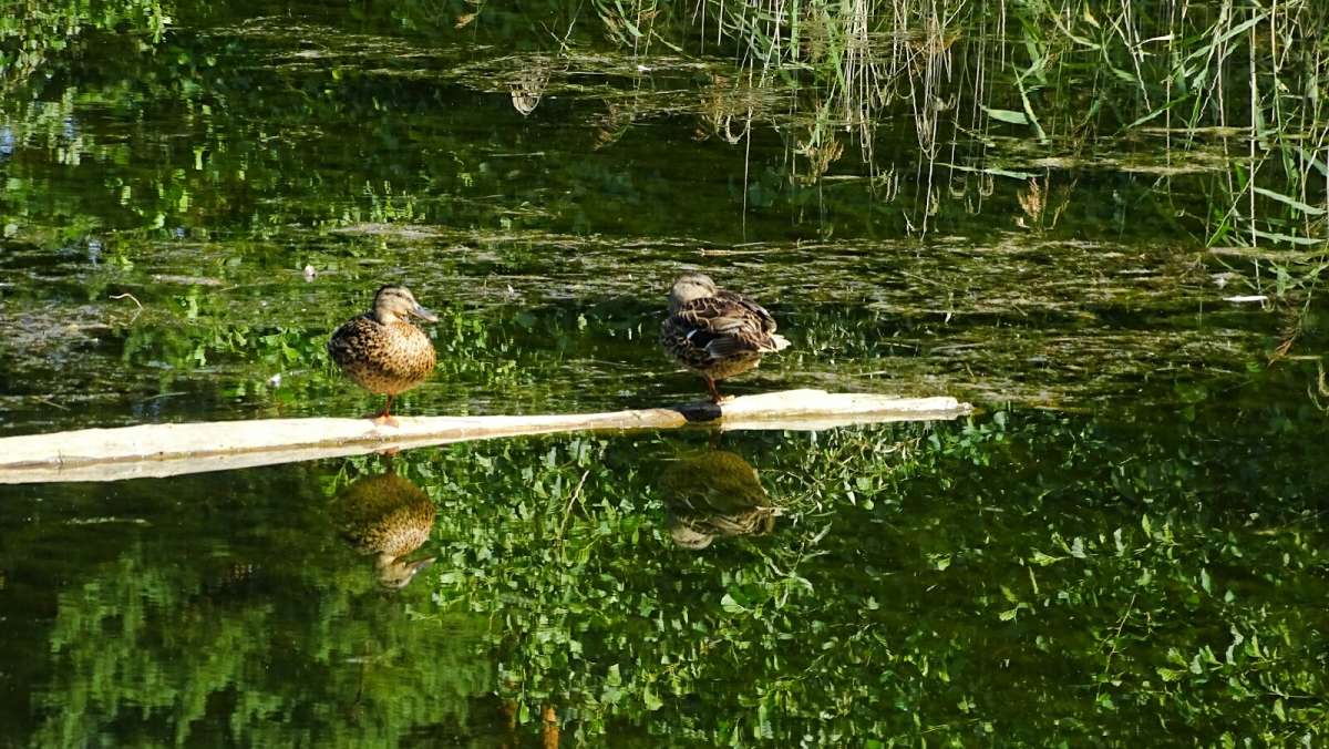 ���������� ����. ����� �������� �������� �� PhotoGeek.ru #�������� ���