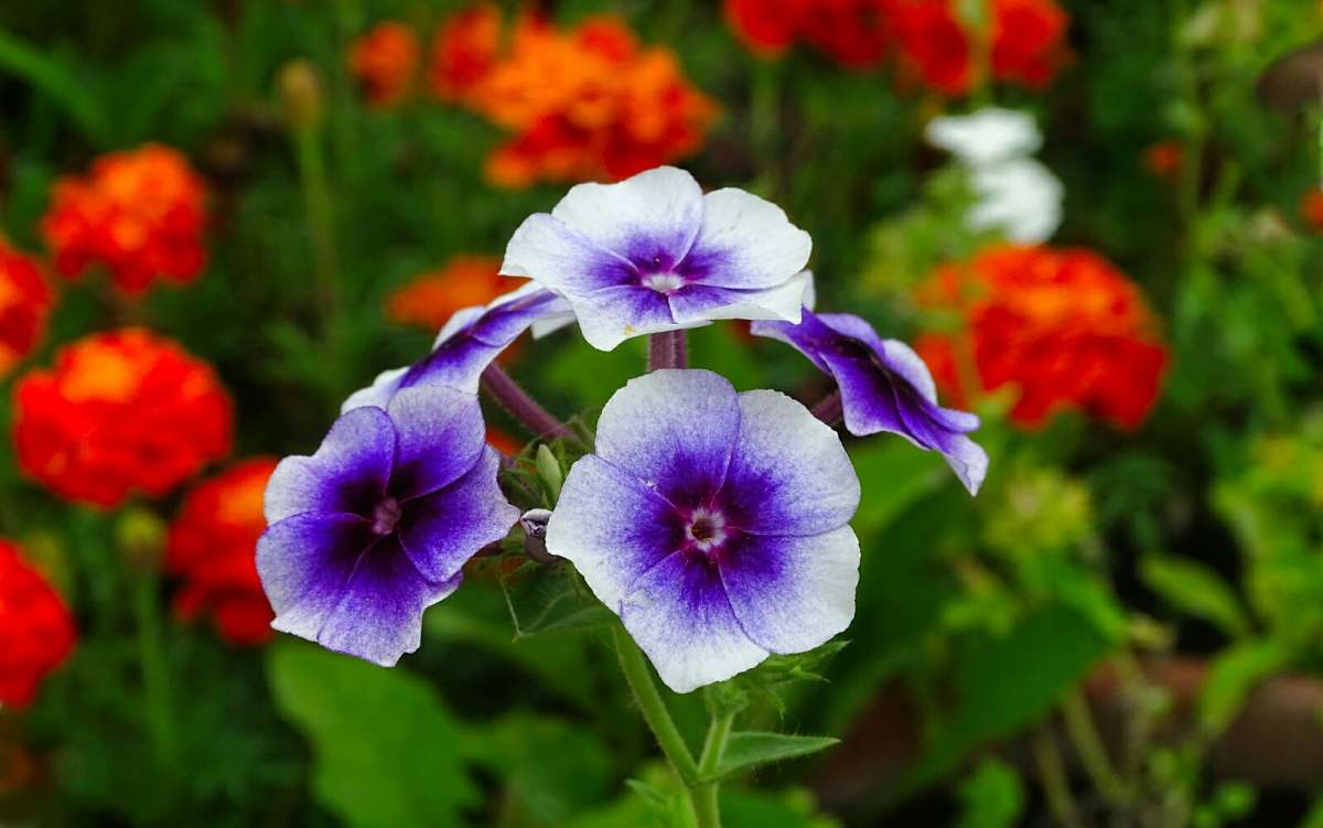 ������. ����� �������� �������� �� PhotoGeek.ru #����� #�����