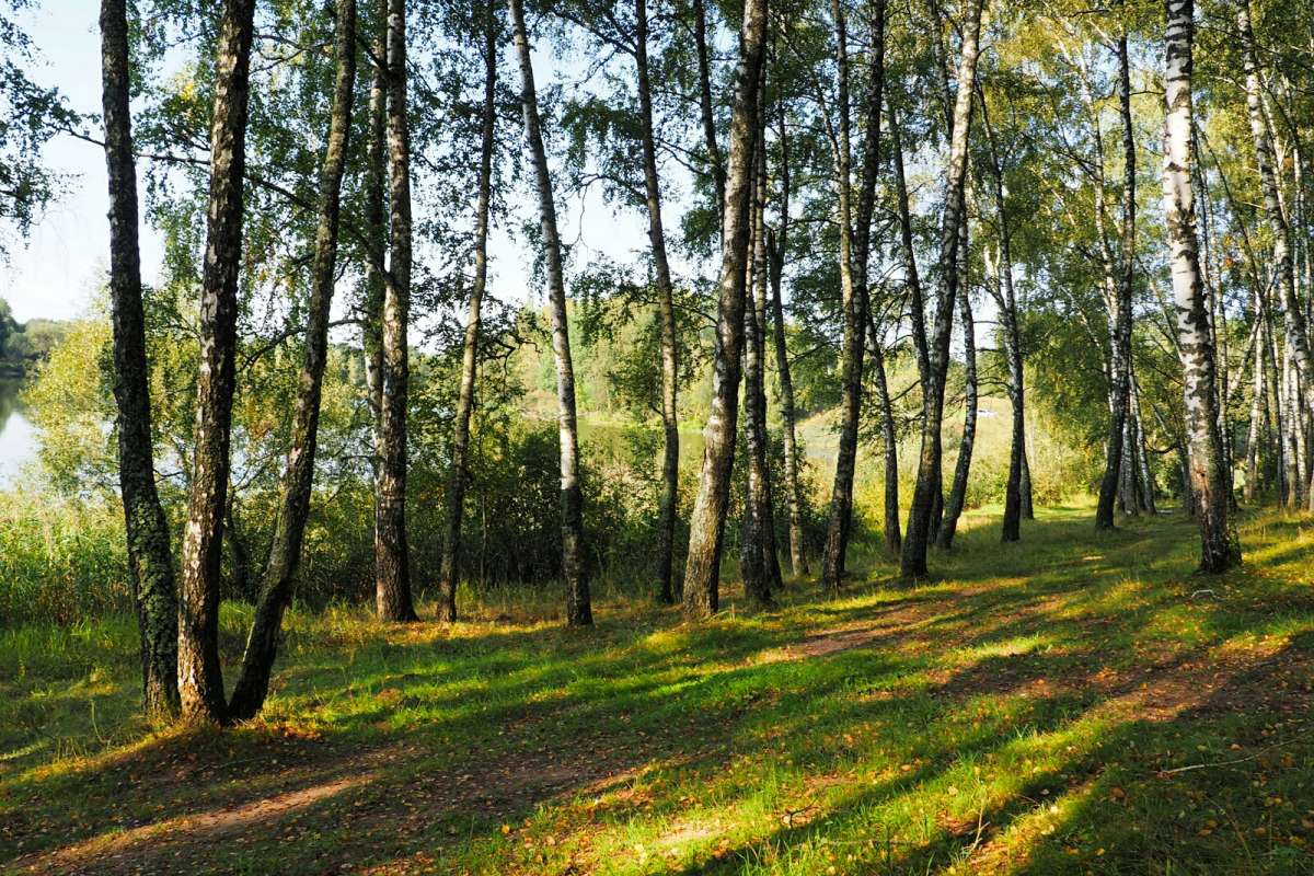 ������� ���. ����� �������� �������� �� PhotoGeek.ru #������ ��� �������