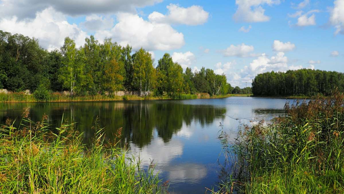 ������-������ ������ ����� �������� �������� �� PhotoGeek.ru #������ ��� �������