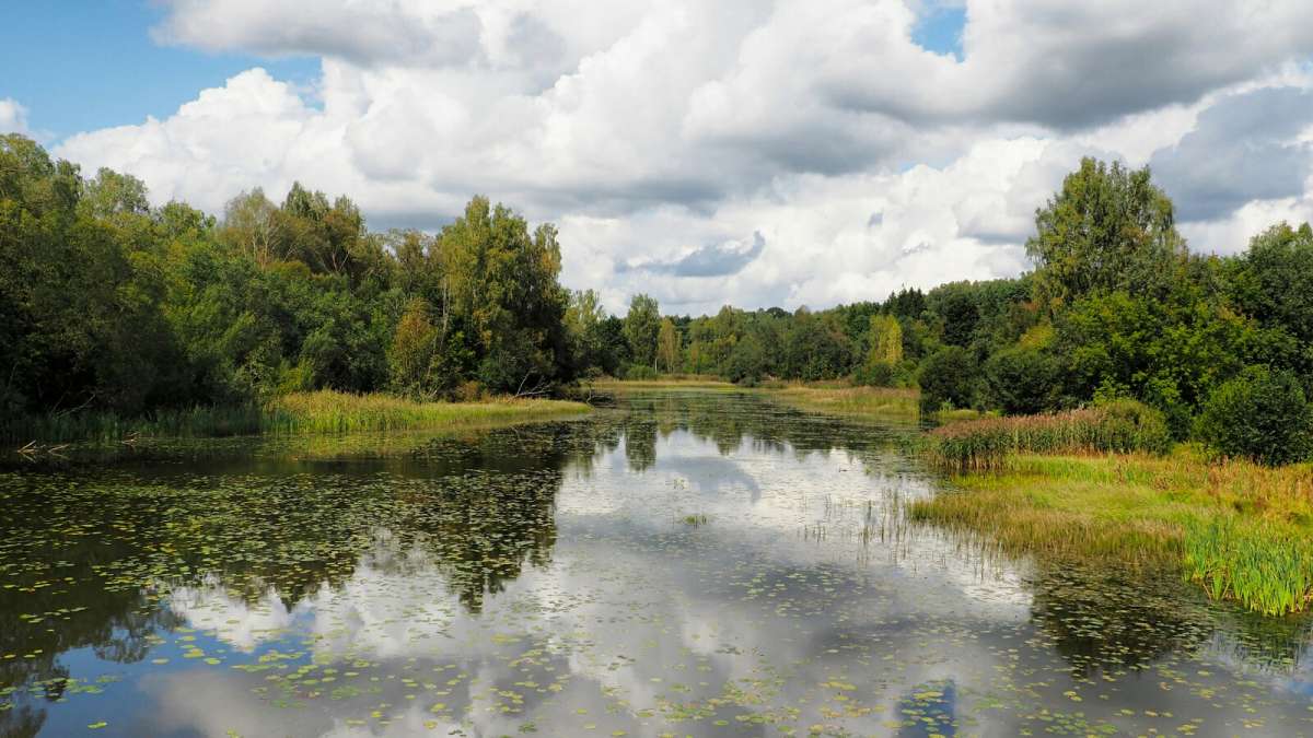 ��� ������. ����� �������� �������� �� PhotoGeek.ru #������ ��� �������