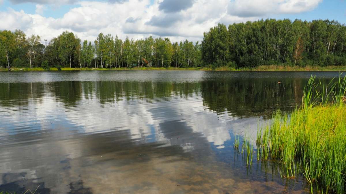 ��� ������. ����� �������� �������� �� PhotoGeek.ru #������ ��� �������