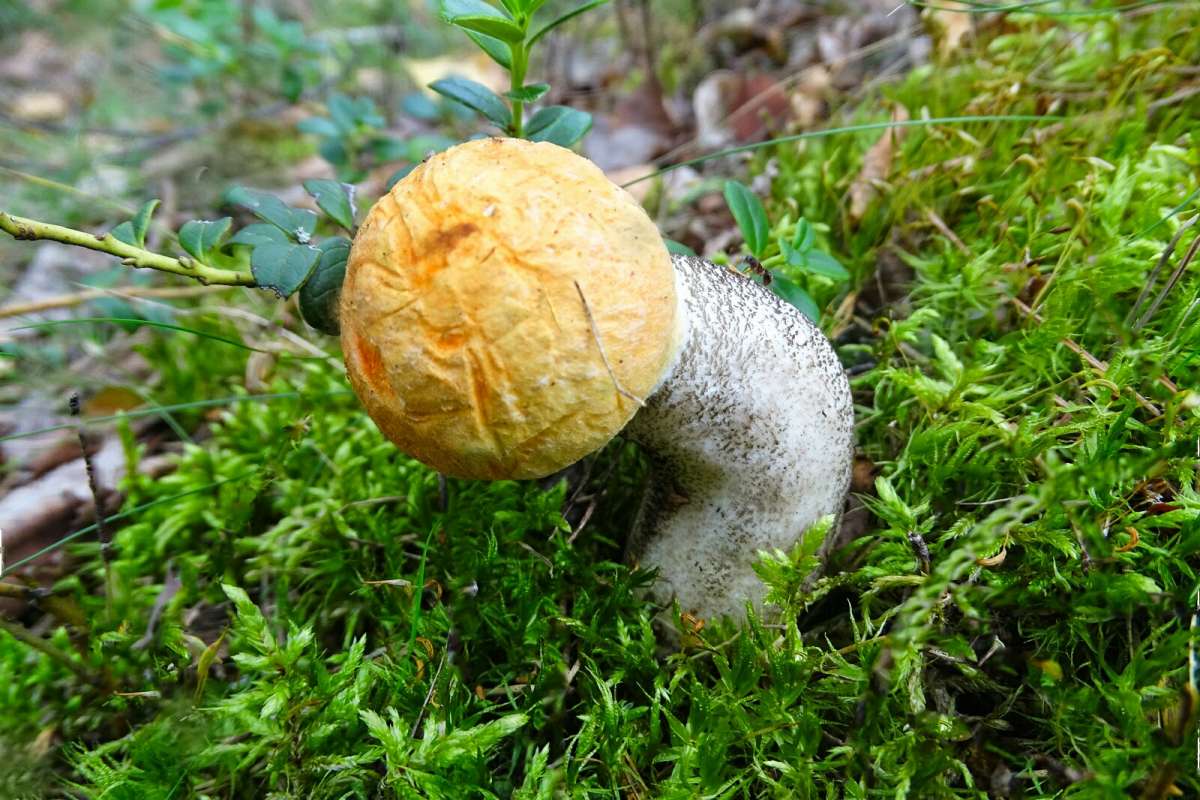 ��������� �� �����. ����� �������� �������� �� PhotoGeek.ru #����� #������ ��� �������
