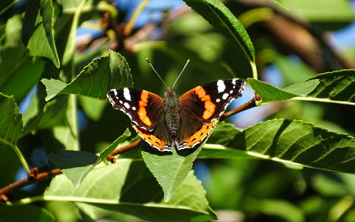 �� ����� �������. ����� �������� �������� �� PhotoGeek.ru #����� #����� #������ ��� �������