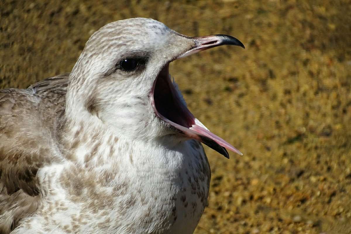 ����� ������ ���������� ���� �� ����. ����� �������� �������� �� PhotoGeek.ru #����� #�������� ���