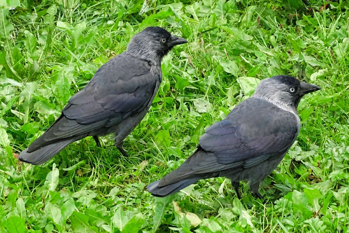 ���������� �����. ����� �������� �������� �� PhotoGeek.ru #����� #�������� ���