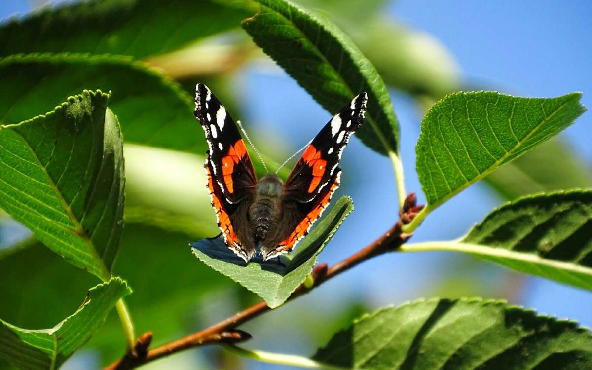 ������� � ��������. ����� �������� �������� �� PhotoGeek.ru #����� #������ ��� �������